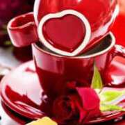 ヒメ日記 2026/02/16 04:15 投稿 みやび 所沢東村山ちゃんこ