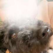 ヒメ日記 2026/04/28 13:15 投稿 みやび 所沢東村山ちゃんこ