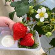 ヒメ日記 2026/02/14 18:00 投稿 みやび 西東京市小平ちゃんこ