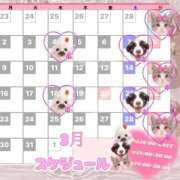 ヒメ日記 2026/02/22 18:27 投稿 みやび 西東京市小平ちゃんこ