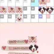 ヒメ日記 2026/04/29 08:00 投稿 みやび 西東京市小平ちゃんこ