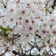 ヒメ日記 2026/03/18 22:19 投稿 結貴しずく Mrs. Dandy