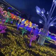 ヒメ日記 2025/12/12 09:46 投稿 める 野田デリヘル若妻淫乱倶楽部