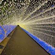 ヒメ日記 2026/03/12 09:57 投稿 める 野田デリヘル若妻淫乱倶楽部