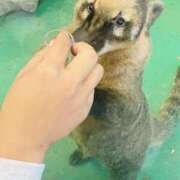 ヒメ日記 2026/03/15 09:47 投稿 める 野田デリヘル若妻淫乱倶楽部