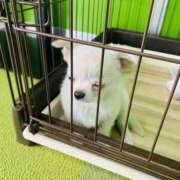 ヒメ日記 2025/12/09 07:42 投稿 める 若妻淫乱倶楽部　越谷店