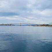 ヒメ日記 2026/03/11 19:57 投稿 める 若妻淫乱倶楽部　越谷店