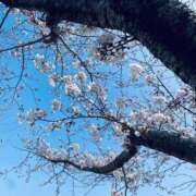 ヒメ日記 2026/04/01 11:20 投稿 める 若妻淫乱倶楽部　越谷店