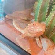 ヒメ日記 2026/01/20 07:20 投稿 める 若妻淫乱倶楽部