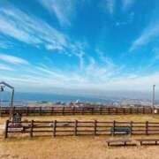 ヒメ日記 2026/03/14 03:57 投稿 める 若妻淫乱倶楽部