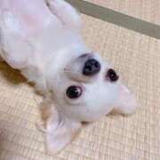 ヒメ日記 2026/03/23 10:29 投稿 める 若妻淫乱倶楽部