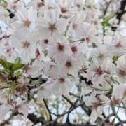 ヒメ日記 2026/03/18 22:23 投稿 結貴しずく Mrs.Dandy Ueno