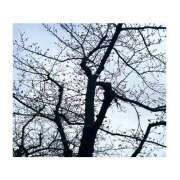 ヒメ日記 2026/03/19 14:37 投稿 ももか お客様満足度NO.1デリヘル！ 秘密倶楽部 凛 千葉