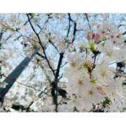 ヒメ日記 2026/03/31 14:43 投稿 ももか お客様満足度NO.1デリヘル！ 秘密倶楽部 凛 千葉