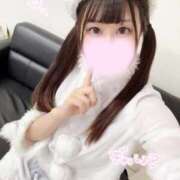 ヒメ日記 2025/12/19 14:50 投稿 もえか JAPAN CLUB BUNNY LOUNGE