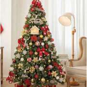 ヒメ日記 2025/12/24 19:08 投稿 大原 なみ こあくまな熟女たち三河店（KOAKUMAグループ）