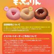 ヒメ日記 2026/06/12 08:12 投稿 大原 なみ こあくまな熟女たち三河店（KOAKUMAグループ）