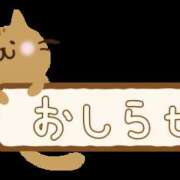 ヒメ日記 2026/08/08 10:17 投稿 大原 なみ こあくまな熟女たち三河店（KOAKUMAグループ）