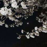 ヒメ日記 2026/03/27 19:43 投稿 りの 見学娘