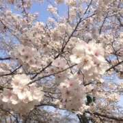 ヒメ日記 2026/04/01 13:13 投稿 りの 見学娘