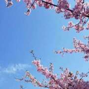 りの おやすみなさい⟡.· 見学娘