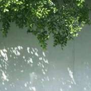 ヒメ日記 2026/05/17 13:13 投稿 りの 見学娘