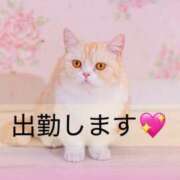 足立 １９日出勤します💖 メンズボディSPA 小山