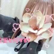 ヒメ日記 2026/04/29 11:13 投稿 聖愛【セア】 LOVEキタ兎我野店