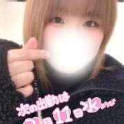 ヒメ日記 2026/02/09 18:21 投稿 せな◆至る所で性欲発散する変態 即イキ淫乱倶楽部　木更津店