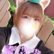 ヒメ日記 2026/02/17 12:11 投稿 せな◆至る所で性欲発散する変態 即イキ淫乱倶楽部　木更津店