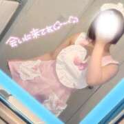 ヒメ日記 2026/05/14 20:21 投稿 せな◆至る所で性欲発散する変態 即イキ淫乱倶楽部　木更津店