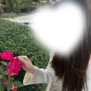 ヒメ日記 2025/12/14 12:05 投稿 風花(ふうか) グランドオペラ横浜