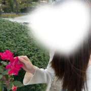 風花(ふうか) 朝から🫧 グランドオペラ横浜