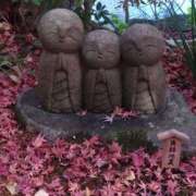 ヒメ日記 2025/12/19 09:36 投稿 柴田みみ プランタン大塚