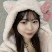 ヒメ日記 2026/01/31 21:56 投稿 さくら Number Five 品川（シンデレラグループ）