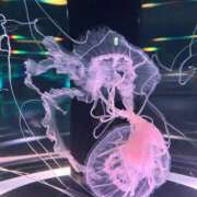 ヒメ日記 2025/12/26 16:07 投稿 はづき 五反田ウルトラファンタジー