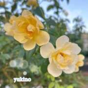 ヒメ日記 2025/12/30 00:32 投稿 ゆきの 梅田アバンチュール