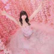 ヒメ日記 2026/01/01 09:18 投稿 ゆきの ミルキーラテ