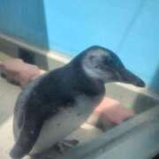 ヒメ日記 2026/01/08 15:41 投稿 国枝らぶ やみつきエステ千葉栄町店