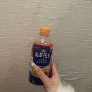 ヒメ日記 2026/02/20 20:55 投稿 のえる 制服天国（ユメオト）