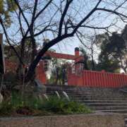 美原すみれ お知らせ⋆͛📢⋆ オトコのたしなみSPA