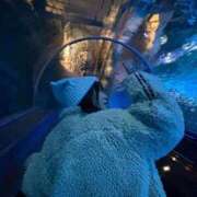 ヒメ日記 2026/03/08 13:23 投稿 いおり★たくさん愛してIカップ BUNNY PLAS