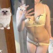 ヒメ日記 2026/01/14 16:12 投稿 ひかり【即イキパイパン奥様】 One More 奥様 新宿店