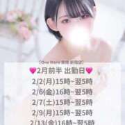 ヒメ日記 2026/02/03 20:02 投稿 ひかり【即イキパイパン奥様】 One More 奥様 新宿店