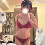 ヒメ日記 2026/02/22 23:32 投稿 ひかり【即イキパイパン奥様】 One More 奥様 新宿店