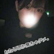 ヒメ日記 2026/03/08 00:32 投稿 ひかり【即イキパイパン奥様】 One More 奥様 新宿店