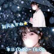 あかね 本日10:00〜16:00🔔 池袋千姫
