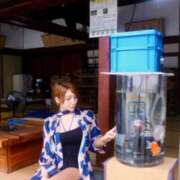 ヒメ日記 2026/09/02 11:46 投稿 RUINA さくらん東京