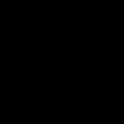 ヒメ日記 2025/12/09 17:42 投稿 ゆい サマンサ 堺店