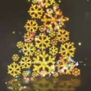 ヒメ日記 2025/12/14 15:02 投稿 ゆい サマンサ 堺店